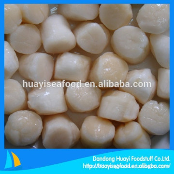 Iqf Frozen Boiled Scallops Adductor